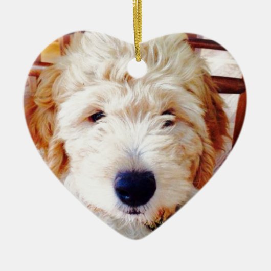 Goldendoodle Welpe Keramik Ornament (Vorne)