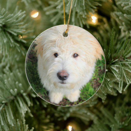 Goldendoodle-Welpe mit Kamera Keramik Ornament (Baum)
