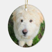 Goldendoodle-Welpe mit Kamera Keramik Ornament (Links)