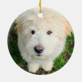 Goldendoodle-Welpe mit Kamera Keramik Ornament (Hinten)