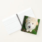 Goldendoodle-Welpe mit Kamera Notizblock (Innenseite)