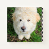 Goldendoodle-Welpe mit Kamera Notizblock (Rückseite)