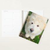 Goldendoodle-Welpe mit Kamera Planer (Anzeige)