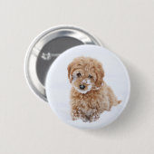 Goldendoodle-Welpe mit Schnee im Gesicht Button (Vorne & Hinten)