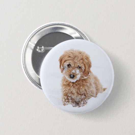 Goldendoodle-Welpe mit Schnee im Gesicht Button (Vorne & Hinten)