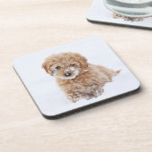 Goldendoodle-Welpe mit Schnee im Gesicht Getränkeuntersetzer (Linke Seite)