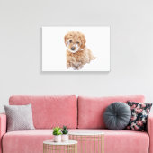Goldendoodle-Welpe mit Schnee im Gesicht Leinwanddruck (Insitu (Wohnzimmer))