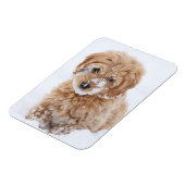 Goldendoodle-Welpe mit Schnee im Gesicht Magnet (Linke Seite)