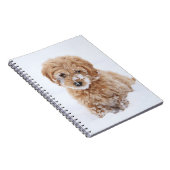 Goldendoodle-Welpe mit Schnee im Gesicht Notizblock (Rechte Seite)