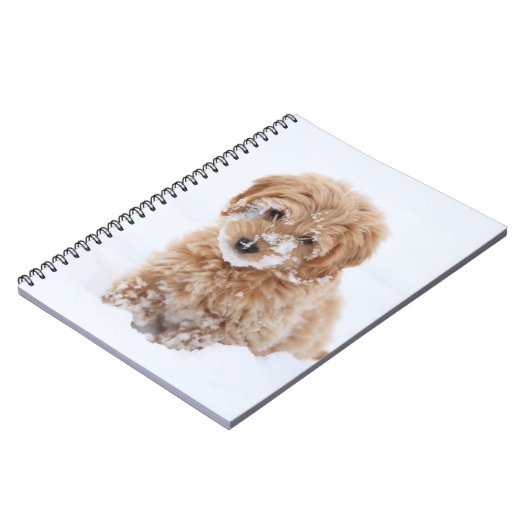 Goldendoodle-Welpe mit Schnee im Gesicht Notizblock (Linke Seite)