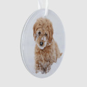 Goldendoodle Welpe mit Schnee im Gesicht Ornament (Vorderseite)