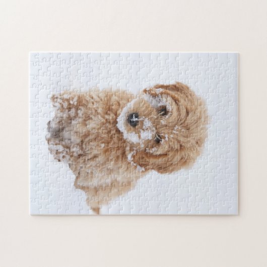 Goldendoodle Welpe mit Schnee im Gesicht Puzzle (Horizontal)