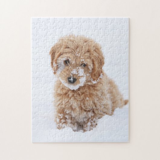Goldendoodle Welpe mit Schnee im Gesicht Puzzle (Vertikal)