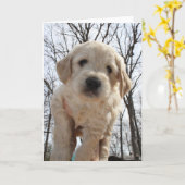Goldendoodle Welpen-Gruß-Karte Karte (Gelbe Blume)
