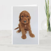 Goldendoodle Welpen-Gruß-Karte Karte (Vorderseite)