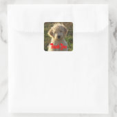 Goldendoodle Welpen Hund Danke, Ihr Sticker / Labe (Tasche)