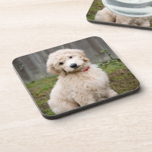 Goldendoodle Welpen im Gras Getränkeuntersetzer (Linke Seite)