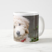 Goldendoodle Welpen im Gras Jumbo-Tasse (Vorderseite Rechts)