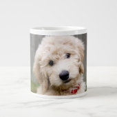 Goldendoodle Welpen im Gras Jumbo-Tasse (Vorderseite)