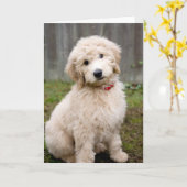 Goldendoodle Welpen im Gras Karte (Gelbe Blume)