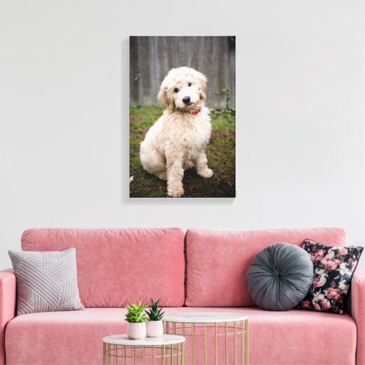 Goldendoodle-Welpen im Gras Leinwanddruck (Insitu (Wohnzimmer))