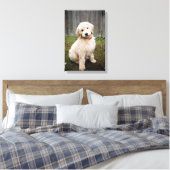 Goldendoodle-Welpen im Gras Leinwanddruck (Insitu (Schlafzimmer))