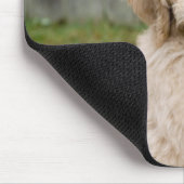 Goldendoodle Welpen im Gras Mousepad (Ecke)