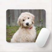 Goldendoodle Welpen im Gras Mousepad (Mit Mouse)