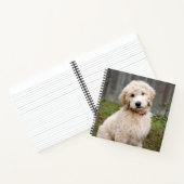 Goldendoodle-Welpen im Gras Notizblock (Innenseite)