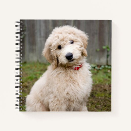 Goldendoodle-Welpen im Gras Notizblock (Vorderseite)