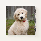 Goldendoodle-Welpen im Gras Notizblock (Rückseite)