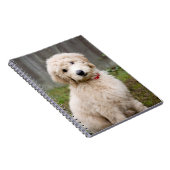 Goldendoodle-Welpen im Gras Notizblock (Rechte Seite)