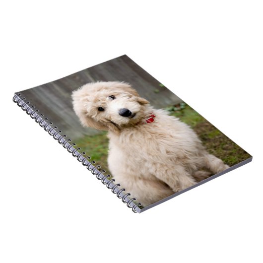 Goldendoodle-Welpen im Gras Notizblock (Rechte Seite)