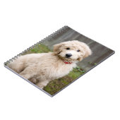 Goldendoodle-Welpen im Gras Notizblock (Linke Seite)
