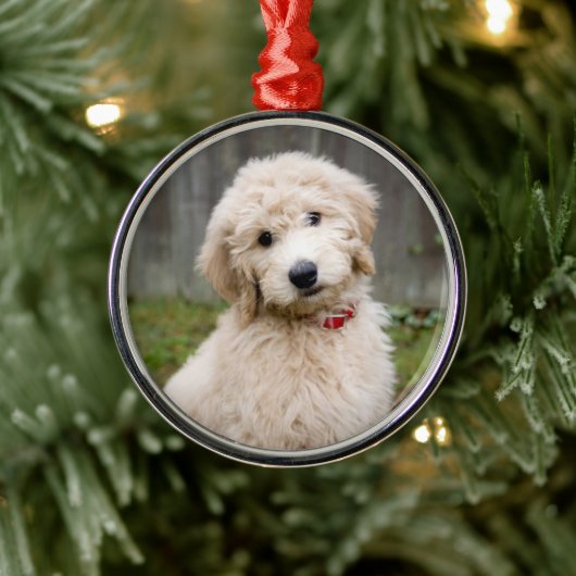 Goldendoodle-Welpen im Gras Ornament Aus Metall (Baum)