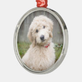 Goldendoodle-Welpen im Gras Ornament Aus Metall (Links)
