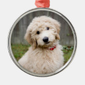 Goldendoodle-Welpen im Gras Ornament Aus Metall (Vorne)