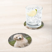 Goldendoodle Welpen im Gras Runder Pappuntersetzer (Vor Ort)