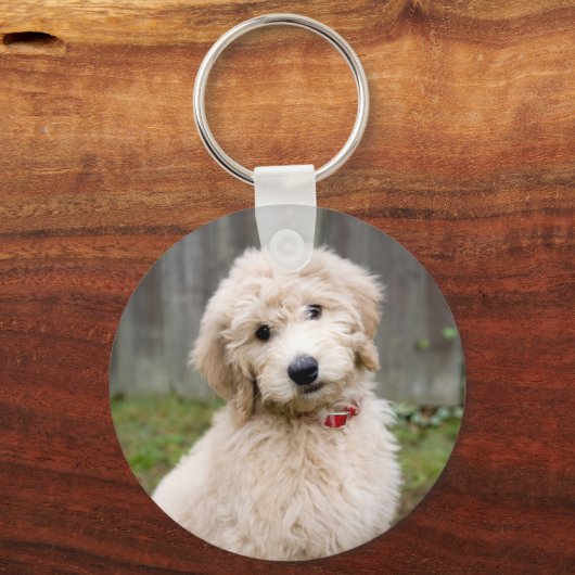 Goldendoodle-Welpen im Gras Schlüsselanhänger (Vorderseite)