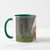 Goldendoodle Welpen im Gras Tasse (Links)