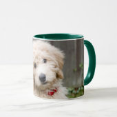 Goldendoodle Welpen im Gras Tasse (VorderseiteRechts)