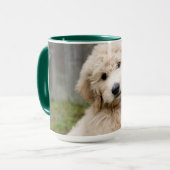 Goldendoodle Welpen im Gras Tasse (Vorderseite Links)