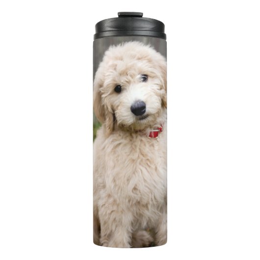 Goldendoodle Welpen im Gras Thermosbecher (Vorderseite)