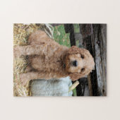 Goldendoodle Welpen-Puzzle Puzzle (Horizontal)