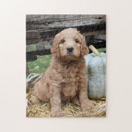 Goldendoodle Welpen-Puzzle Puzzle