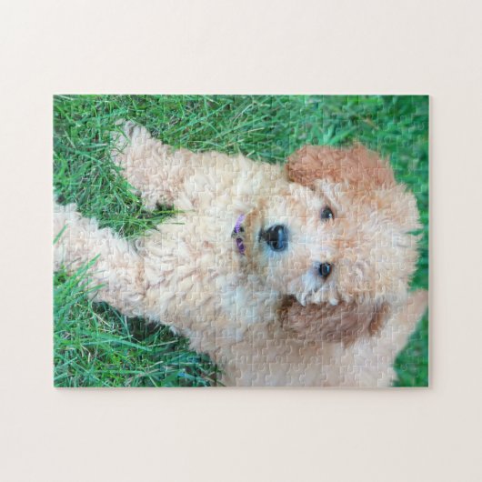 Goldendoodle Welpen-Puzzlespiel Puzzle (Horizontal)