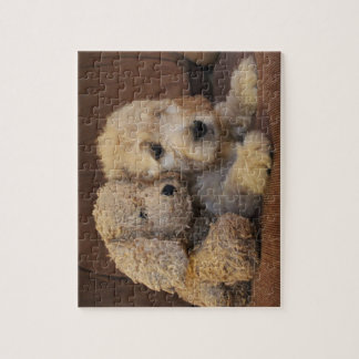 Goldendoodle Welpen-Puzzlespiel Puzzle