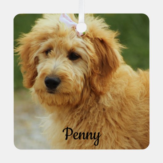 Goldendoodle Welpenhund Ornament Aus Metall (Vorderseite)