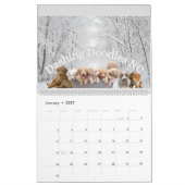 Goldendoodle Welpenkalender Kalender (Jan 2027)