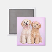 Goldendoodle-Welpenliebe Valentinsmagnet Magnet (Vorderseite/Rückseite)